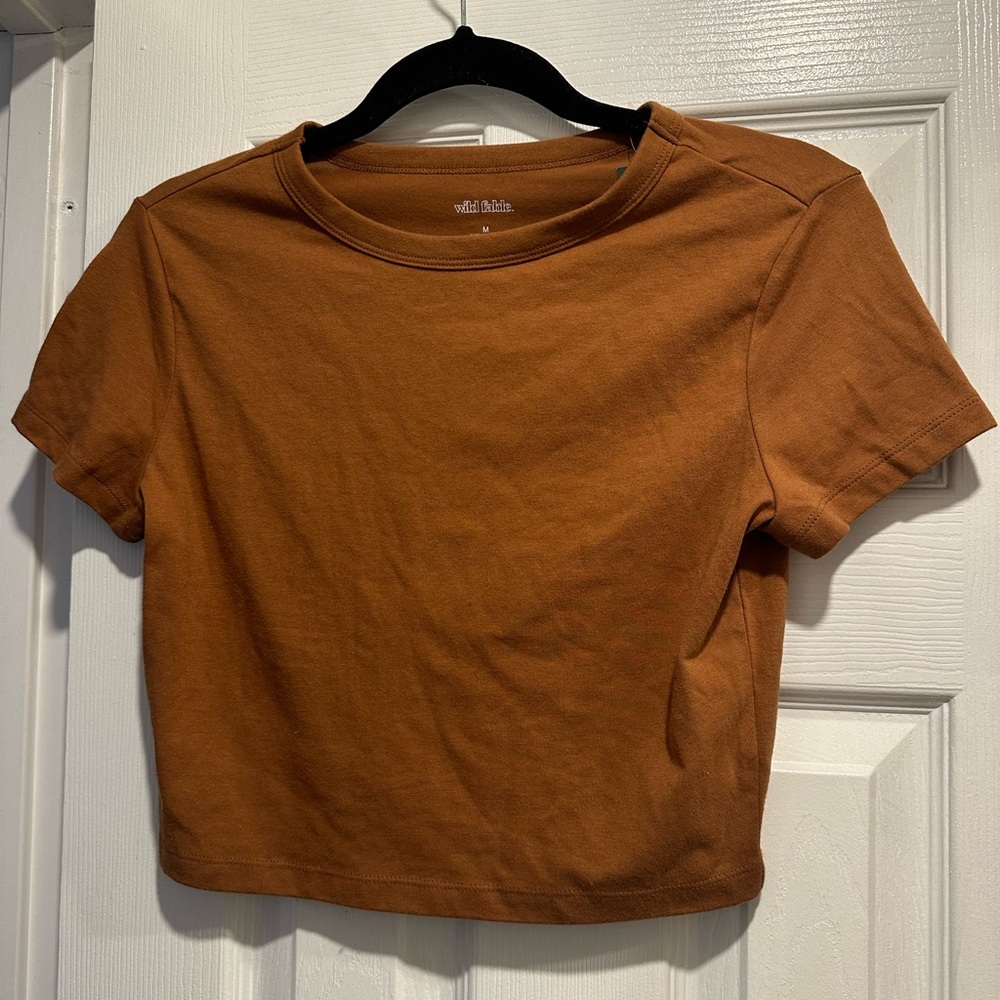 Wild fable brown crop top